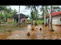 Lagu Musibah Banjir Sudah Naik Sampai Kebun Warga Bintan❗