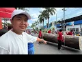 Download Lagu KENAPA KARNAPAL TK-SD-SMP INI LEBIH BAGUS DARIPADA YANG UMUM KEMARIN ? 🥹😍🥰❤️😘