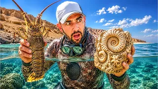 وجدنا سراً مدفوناً في الرمال! 🏺 | !Found a Buried Secret in the Sand