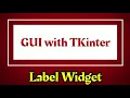 GUI with TKinter Label Widget