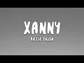 Download Lagu Billie Eilish - xanny (Lyrics)