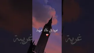 غربة في بلاد غريبة دندنها