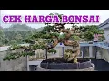 Download Lagu CONTROLEER BONSAI-PRIJZEN