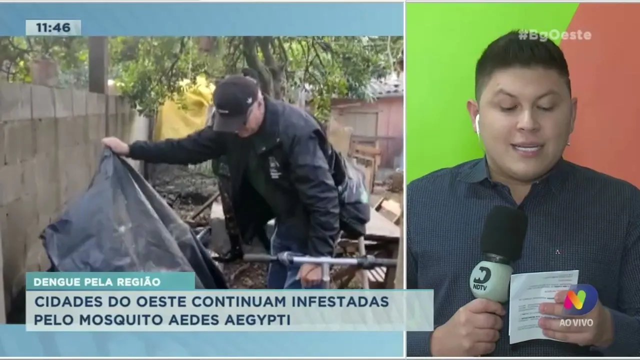 Cidades do Oeste continuam infestadas pelo mosquito Aedes Aegypti
