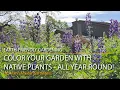Color Your Garden With CA Native Plants - All Year Round
