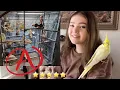 Rating my Subscribers Bird Cages