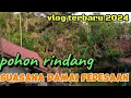 Lagu VLOG: SEPERTI APA❓ALAM PEDESAAN TERBARU 2024🌟🌲@babinsakita @Alamdarat007