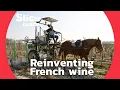 Natural Wine The ecological awakening of French vineyards SLICE EARTH FULL DOC