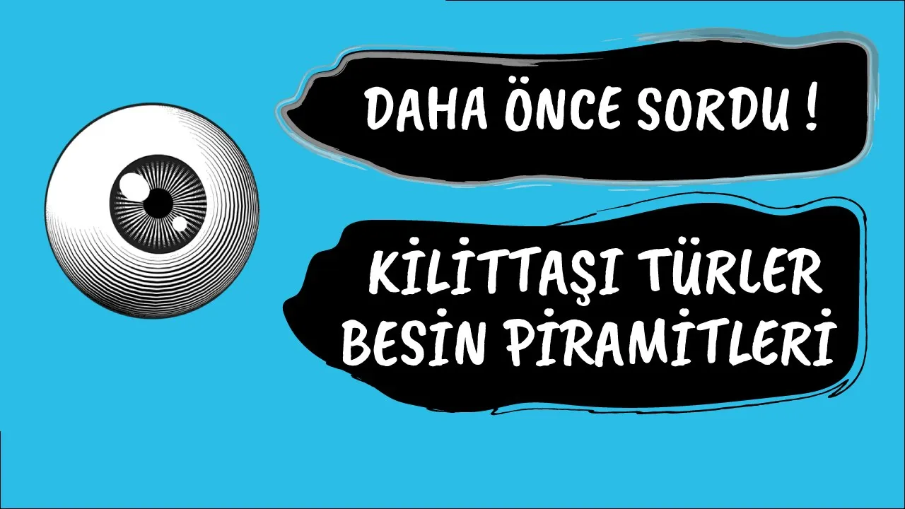 KİLİTTAŞI TÜRLER , BESİN PİRAMİTLERİ , ÖTROFİKASYON (DAHA ÖNCE SORDU)
