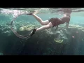 Freediving Indonesia and the Solomon Islands