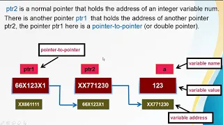 Pointers in c programming Pointer to Pointer Double Pointer KISWAHILI