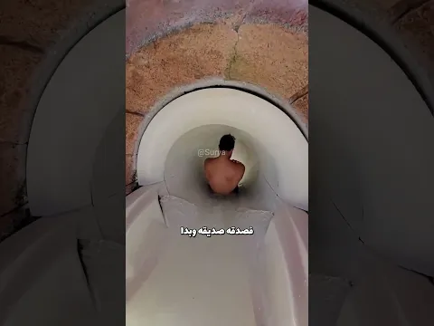 أرسلتُ لصديقي بطاقة دخول لمشاهدة الدلافين ☺️!