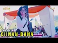 Download Lagu CIINAN BANA - LAILA AYU - LIVE REMBANG PASURUAN FT MH1 EVENT - SIMPATIK MUSIC