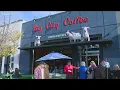 Big City Coffee files tort claim against Boise State University