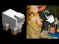 Lagu Finding the Origins of Minecraft Cursed Images