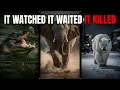 6 Animals That Have Actively Learned to Hunt Humans