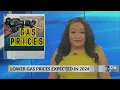 Lower gas prices in 2024 GasBuddy says yes