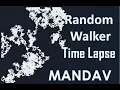 Time Lapse Random Walker
