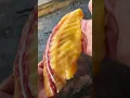 Deli Sh t