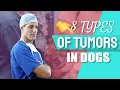 Download Lagu 👨‍⚕️🐶8 TYPES of TUMORS (Cancer) IN DOGS and Affected Breeds