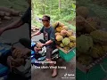 Download Lagu wong lanang ojo wedi ireng