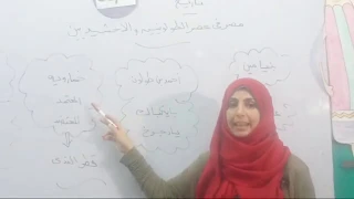 الطولونيون و الاخشيديون ثانية ثانوي مس فاطمة عبد اللطيف 