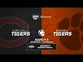 BB D IV DISTRICT FINAL - Circleville Tigers vs Waverly Tigers