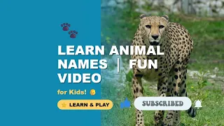 Animal Names for Kids | Learning & Fun | Educational Toddler Video