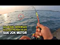 Lagu PANEN BESAR‼️PANEN IKAN SAK JOK MOTOR DI SPOT PINGGIR PELABUHAN YANG BELUM BANYAK YANG TAU