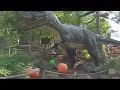Download Lagu Dinosaur Explore | Full Walk-through 2025