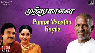 punnai vanathu kuyile song muthu kaalai movie ilaiyaraaja karthik soundarya spb manorama