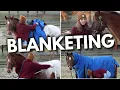 HOW TO BLANKET A HORSE EASY BEGINNERS GUIDE