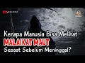 Download Lagu Kenapa Manusia Melihat Malaikat Maut Sebelum Dia Mencabut Nyawanya?