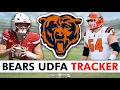 Chicago Bears UDFA Tracker Full List Of Bears Undrafted Free Agent Signings After 2026 NFL Draft