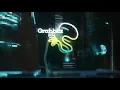Grabbitz - Fly on the Wall