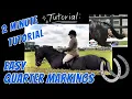 2 MINUTE TUTORIAL - HOW TO DO HORSE QUARTER MARKINGS FOR A HORSE SHOW