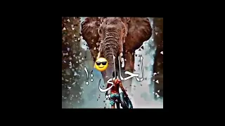 مهرجان الساحه ساحتى 