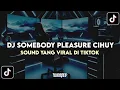 Download Lagu DJ SOMEBODY PLEASURE CIHUY | DJ SOMEBODY PLEASURE PLAT KT VIRAL TIK TOK TERBARU 2025