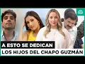 A esto se dedican hoy cada uno de los hijos del Chapo Guzman Quien seguira con el negocio