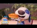 Download Lagu 👀 Hank Can’t See! 🙃 Talking Tom Shorts | Cartoons for Kids MP3