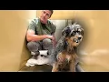 Download Lagu Terrified Rescue Dog Won’t Let Anyone Touch Him, HERE’S Why! 😳