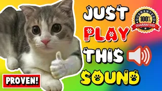 Download Mother cat calling for her kittens sound effect ⭐ mom cat sounds MP3