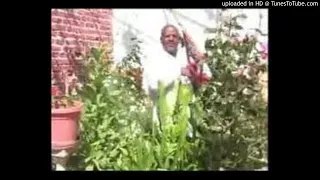 Wedi Gebru Nkhulu Official Audio Video New Eritrean Music 