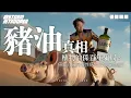 Download Lagu 植物油係百年騙局？｜BBC都話豬油健康排名第八？｜三個自製保持營養炸豬油方法｜癌症心臟病慢性病元兇係植物油？Omega-6禍害極大實驗報告公開｜非洲部落零病例解密｜千億黑幕！｜不是陰謀論｜中文字幕