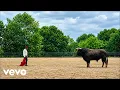 Blaqbonez- Ikebe 3000 (feat. Asake) [Official Music Video]