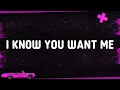 Download Lagu Pitbull - I Know You Want Me (Calle Ocho) [Lyrics] \