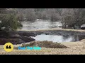 Rain Sound and River -Natural Place for Calm, Relax, Sleep-1 Hour