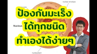 ร่างกายของเราสร้างเซลล์มะเร็งขึ้นมาทุกวันจริงหรือไม่ และทำไมจึงต้องระวังเรื่องนี้