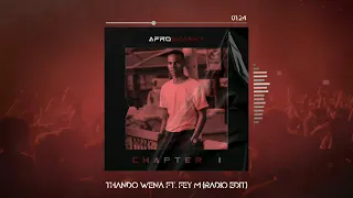 afro swanky thando wena radio edit visualizer ft fey m