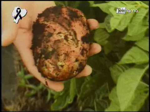 Ecuador Agropecuario 19-04-2018